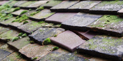 Theddingworth roof repair costs
